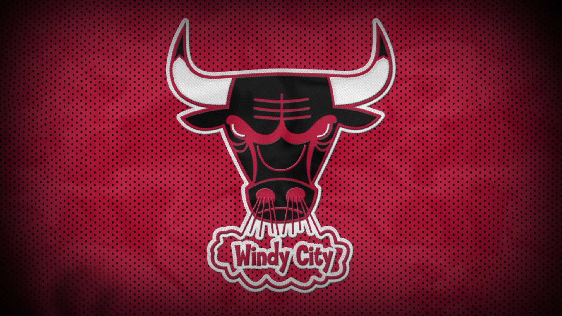 WRC赛事志：车手、团队与粉丝的故事，wrc参赛车队2020