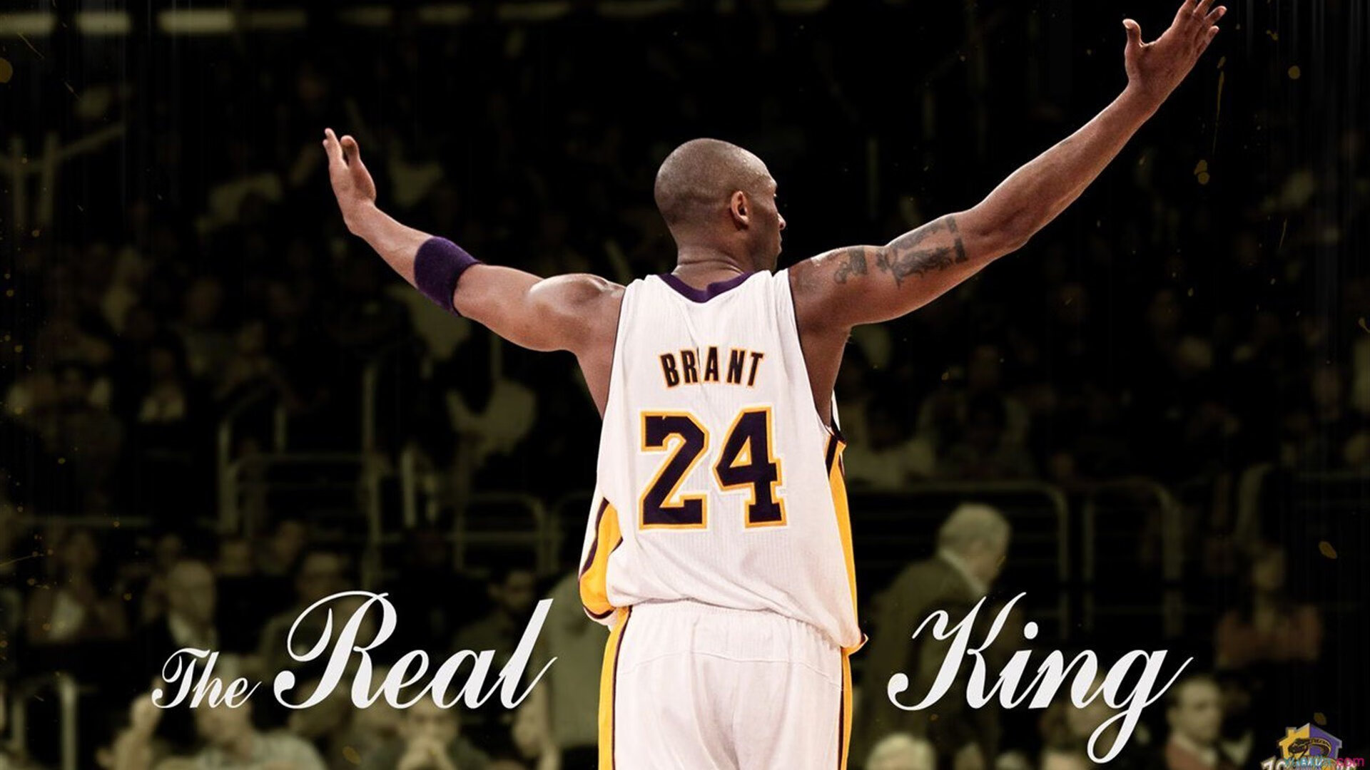 _骑士新秀表现抢眼，展现大未来_，骑士队新秀